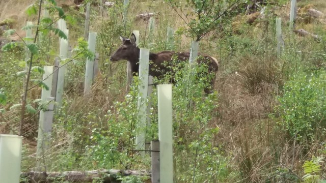 IMG-20190428-WA0001-640x360