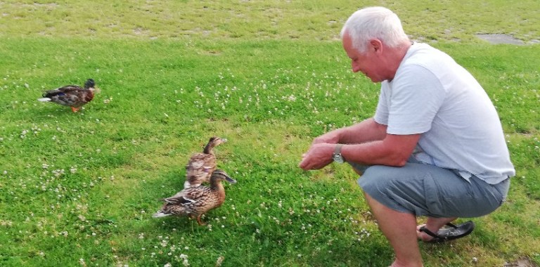 IMG_20190624_211611-816x404