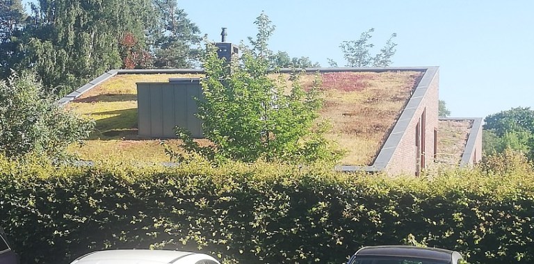 IMG_20190627_192254-816x404