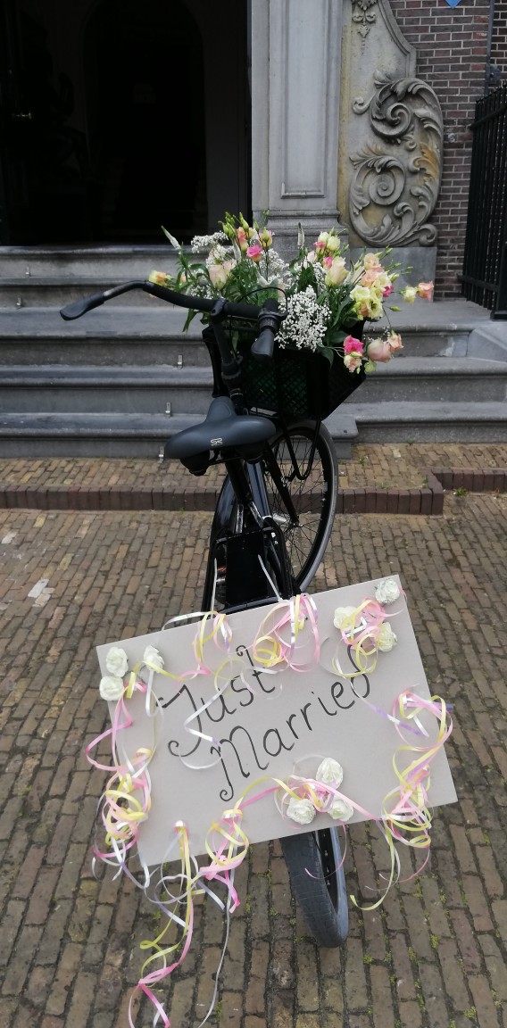 IMG_20190706_122246-568x1152