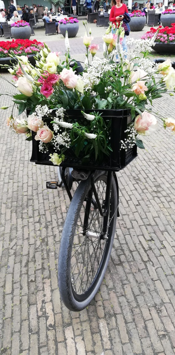 IMG_20190706_122300-568x1152