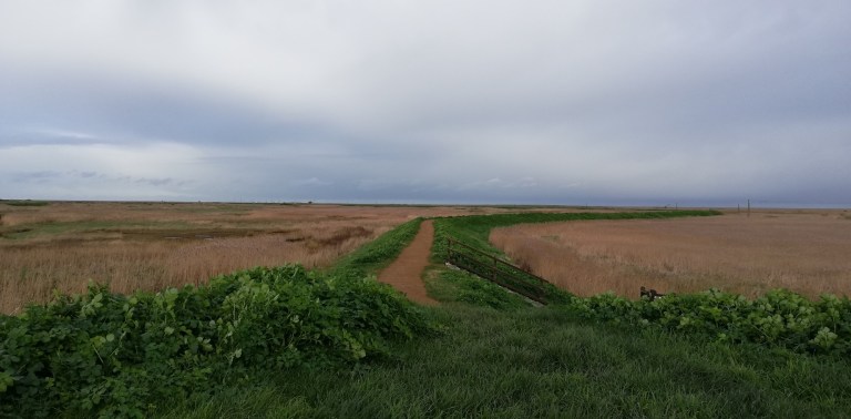 IMG_20200128_132135-1843x909