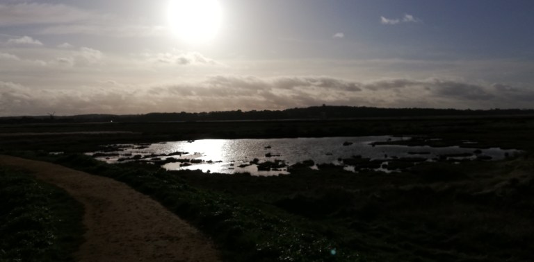 IMG_20200128_141251-1843x909