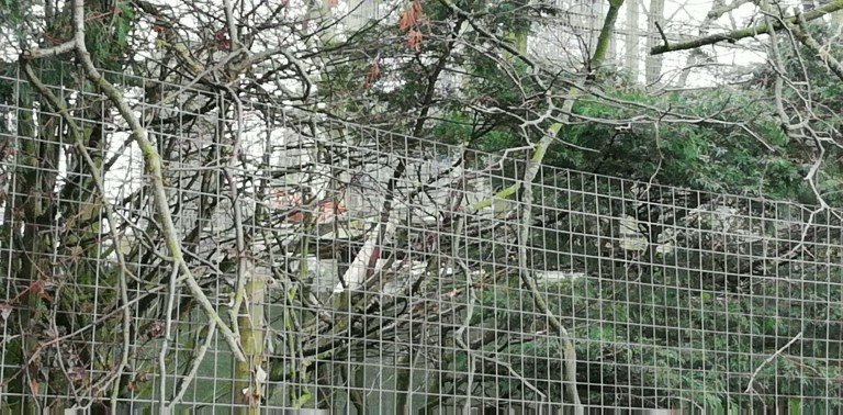 IMG_20200130_123812-1843x909